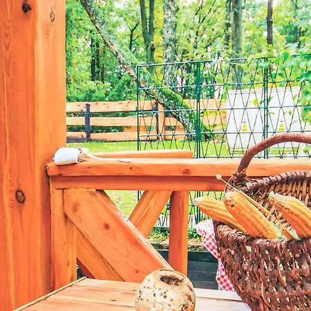 Holiday home 2 Bedroom Lovely Home In Gietrzwald Sila